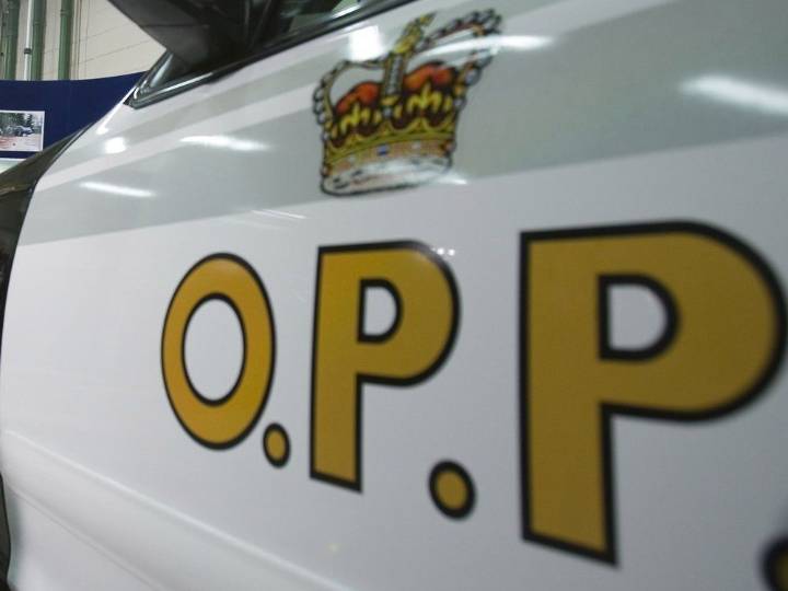 Weapons charges in Rideau Lakes spousal assault