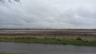Intensas y desiguales precipitaciones complican la siembra y alivian zonas secas en el campo
