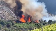 Senapred ordena evacuar sector de Monte Patria por incendio forestal: Siniestro se encuentra "en combate"