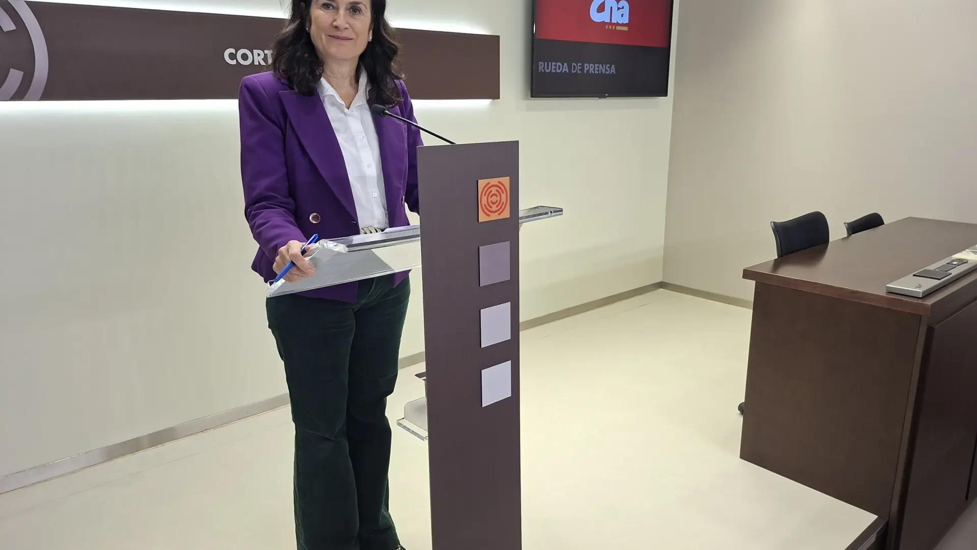 CHA denuncia en las Cortes la “privatización del Bachillerato” que impulsa el Gobierno de Aragón