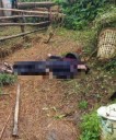 Suspected cattle thief ‘electrocuted’ near shed at Mylliem Mawwan