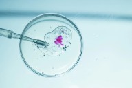 Catholic bishops criticize Trump’s IVF expansion: Every life is ‘sacred and loved by God’