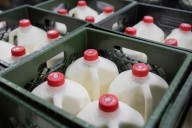 Federal SNAP benefits won’t be paid in November: What happens next?