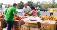 Governor McMaster takes action ahead of SNAP benefits halt