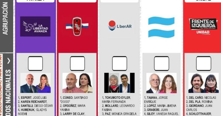 La Justicia postergó la reimpresión de boletas en la provincia de Buenos Aires tras el fallo a favor de Santilli