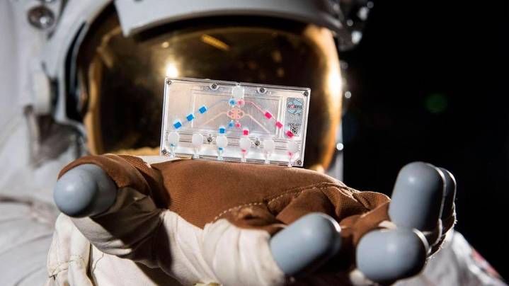 La NASA impulsó el proyecto AVATAR: enviar tejido humano a la Luna y anticipar posibles riesgos para los astronautas