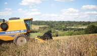Soya sostenible impulsa revolución nutricional, ambiental y económica en el agro nacional