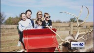 SoKY Speaks: Reindeer Farm 2025 Upcoming Events
