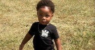 Dogs kill 2-year-old boy at Georgia daycare center