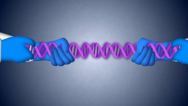 MacArthur genius, cannabis psychosis, CRISPR: Morning Rounds