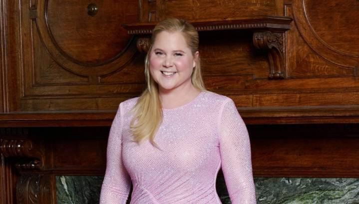 Amy Schumer Then & Now: Photos of Her Before & After Weight Loss