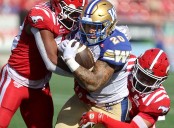 Blue Bombers join Jays fever: Oliveira, O’Shea, and teammates cheer on Canada’s team