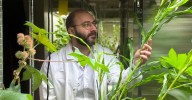 Investigadores del MIT crean un nuevo fertilizante que limita el impacto ecológico de la agricultura