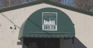 Local animal shelter closed for intake due to infected dog