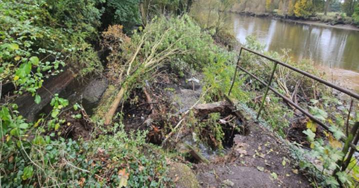 Collapsed Thames Path near Kew Gardens to reopen after 1 year and delayed repairs