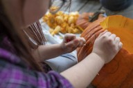 Don’t toss your Halloween pumpkin  –  bake, compost or feed it to farm animals instead