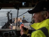 Scientists hope fiber-optic cables can help save orcas