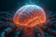 El estrés que provoca una agresión sexual puede desconectar áreas del cerebro