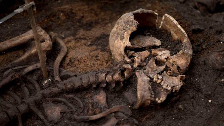 Scientists are one step closer to testing ancient skeletons for pregnancy