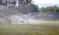 Abre Agricultura inscripción a subsidio eléctrico para riego agrícola