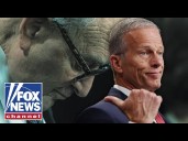 'THEY'RE STUCK': Dems 'really don't know' what they're doing, Senate Majority leader says
