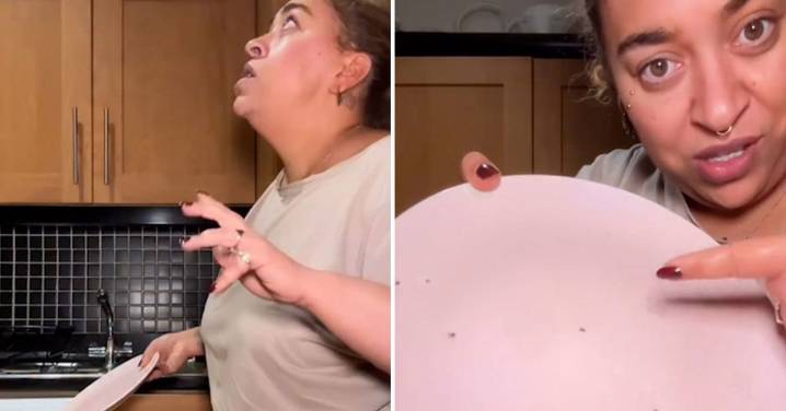 Fruit flies won't stand a chance against fun dinner plate hack