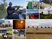 Westman's Top 10 in September: Stories you don't want to miss