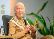 Murió Jane Goodall a los 91 años, la científica que revolucionó la primatología