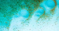 Resucitan microbios atrapados hasta 40.000 años en suelos congelados