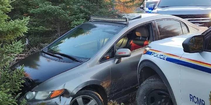 Two Men Arrested After Cabin Break-In in Island’s Interior