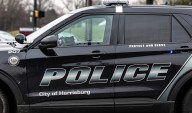 Woman charged after pit bull found dead in Harrisburg basement