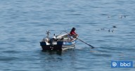 Pescadores de Lebu están en alerta por crisis de la jibia: no descartan iniciar movilizaciones