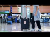 Flight bookings for 2025 holiday season already up from 2024, data shows
