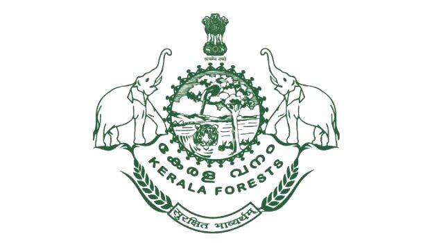 Corruption in Forest Department; vigilance clamps down; top officials also under suspicion