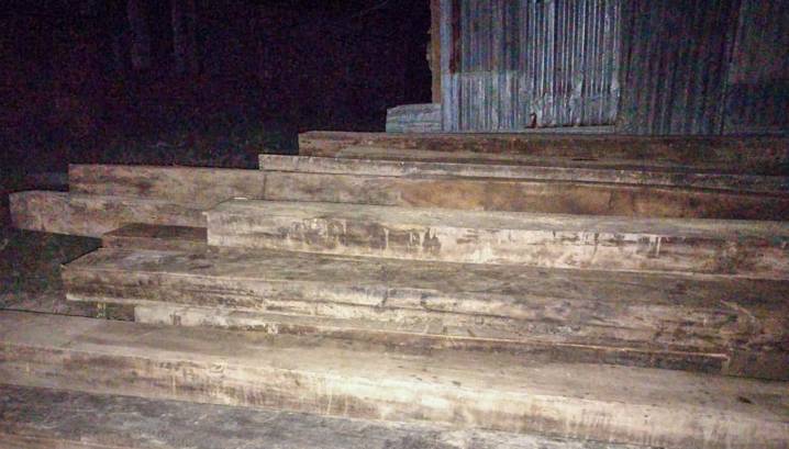 Incautan 20 metros cúbicos de madera ilegal y detienen a ocho personas en Yurimaguas