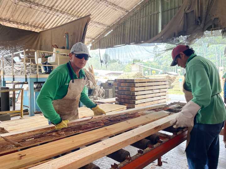 Empresa maderera de la CEO, modelo de economía circular