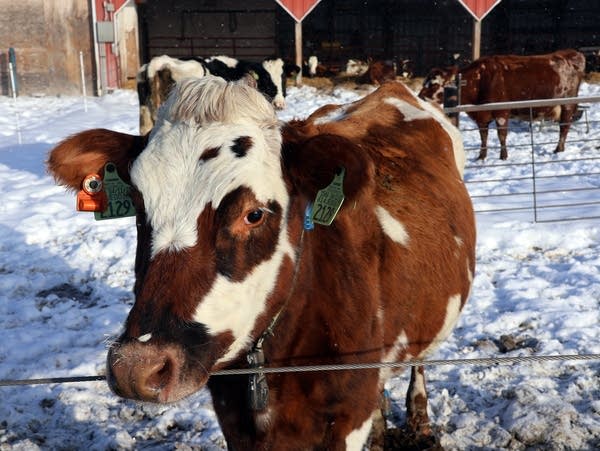 Q2 sees sharp decline in Minnesota exports
