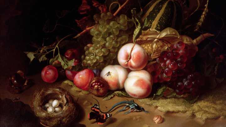 Rachel Ruysch: Nature Into Art