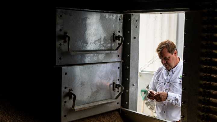 Can Mississippi soybean farmers survive trade war with China?