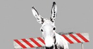 The 'gloom and doom' problem confronting Democrats right now