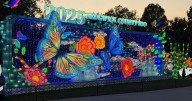 Sneak Peak: Wild Lights 2025 at Sedgwick County Zoo