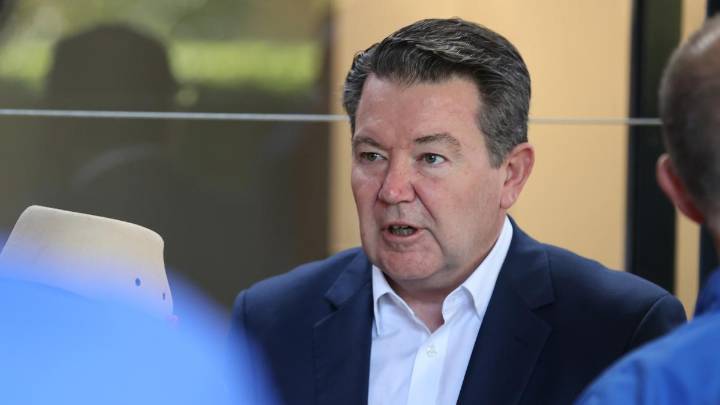 Optus outage: Opposition parties pressure Federal Government with looming vote on inquiry into horror outage