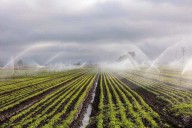 Irrigation stock jumps 7% after announcing strong Q2 results