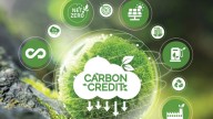 Integrate stability mechanism in the upcoming carbon credit trading scheme: Report  