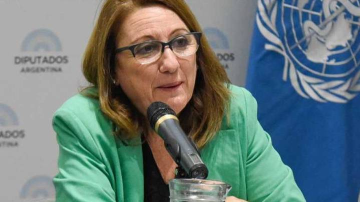Mónica Fein: "La reimpresión de boletas la tiene que pagar La Libertad Avanza"