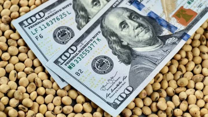 El ingreso de dólares del agro podría desplomarse un 80% en el final del año