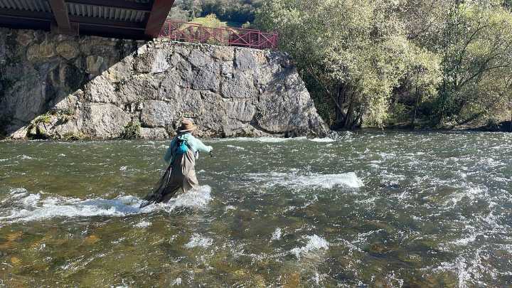 Guerra de cañas en el río Caudal: la pesca sin muerte y la tradicional enfrentan posturas en Mieres y Morcín