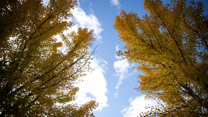 Why does Indianapolis smell like poop? Possible explanations