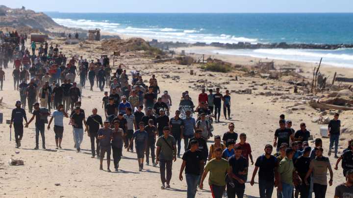 Families walk back to Gaza City minutes after ceasefire goes into effect