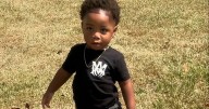 'My two-year-old son was mauled to death by dogs while nursery worker slept'